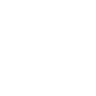 AMERICAN ROACH ICON