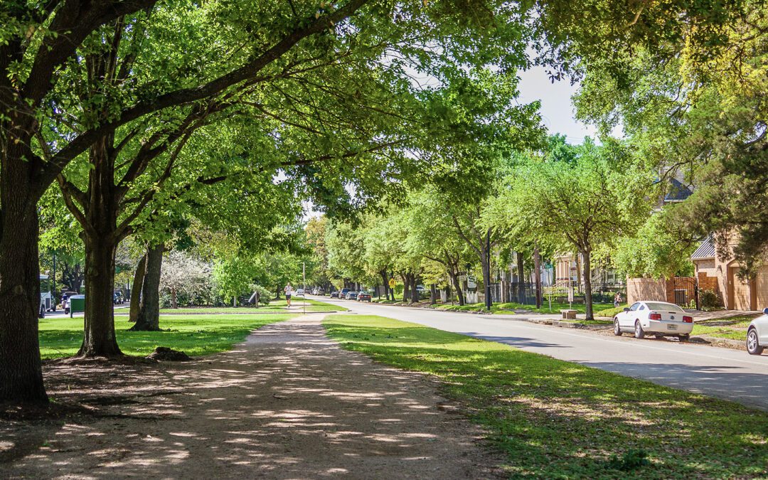 The Heights Exterminator’s Guide: Seasonal Pest Control