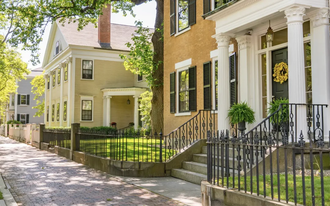 Pest Control Checklist for New Homeowners in The Heights